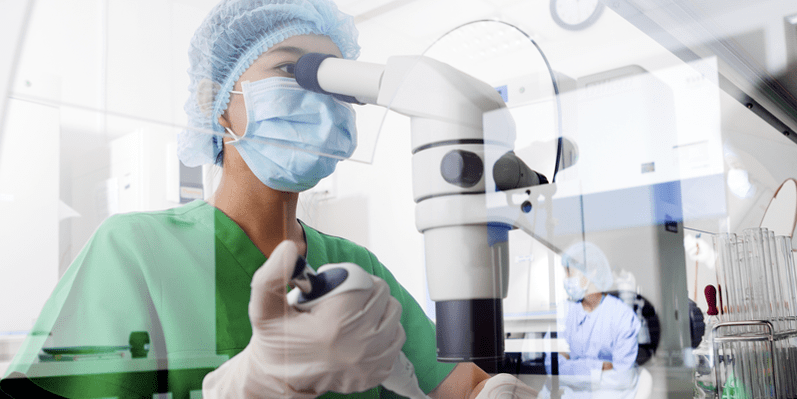 Untersuchung von Tests auf das Vorhandensein von Würmern